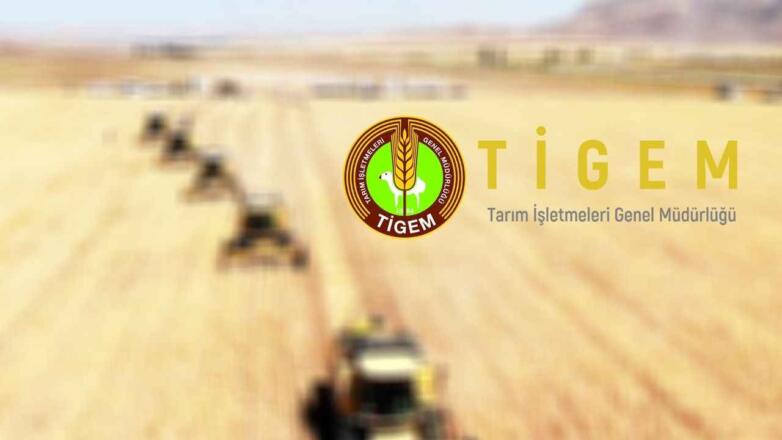 TİGEM 7 İlde 18 Sürekli İşçi Alacak: İlköğretim Mezunları Da Başvurabilecek!
